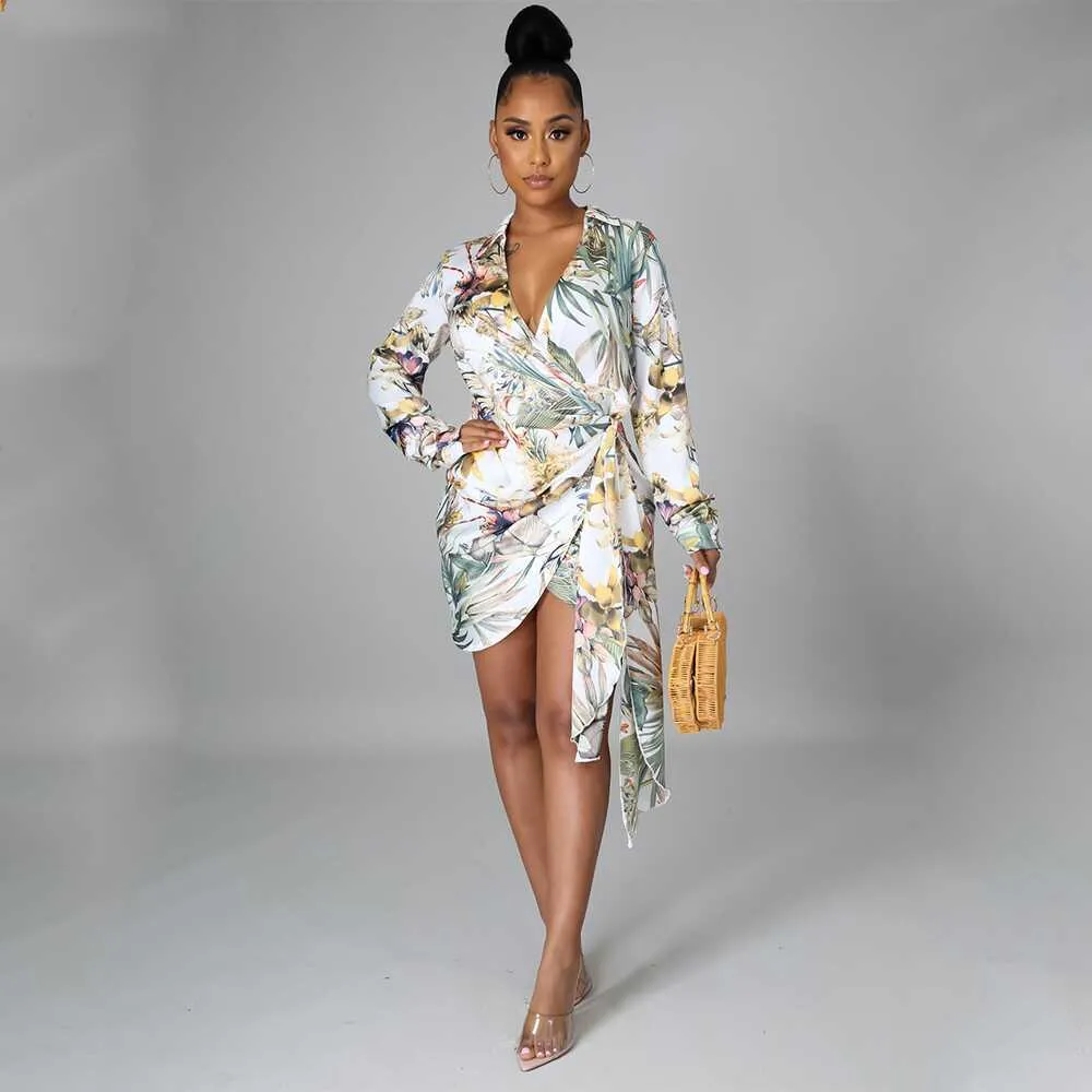 Digital Print Long Sleeve Dress