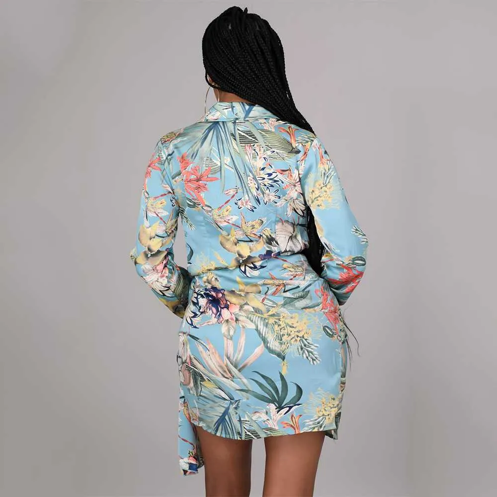 Digital Print Long Sleeve Dress