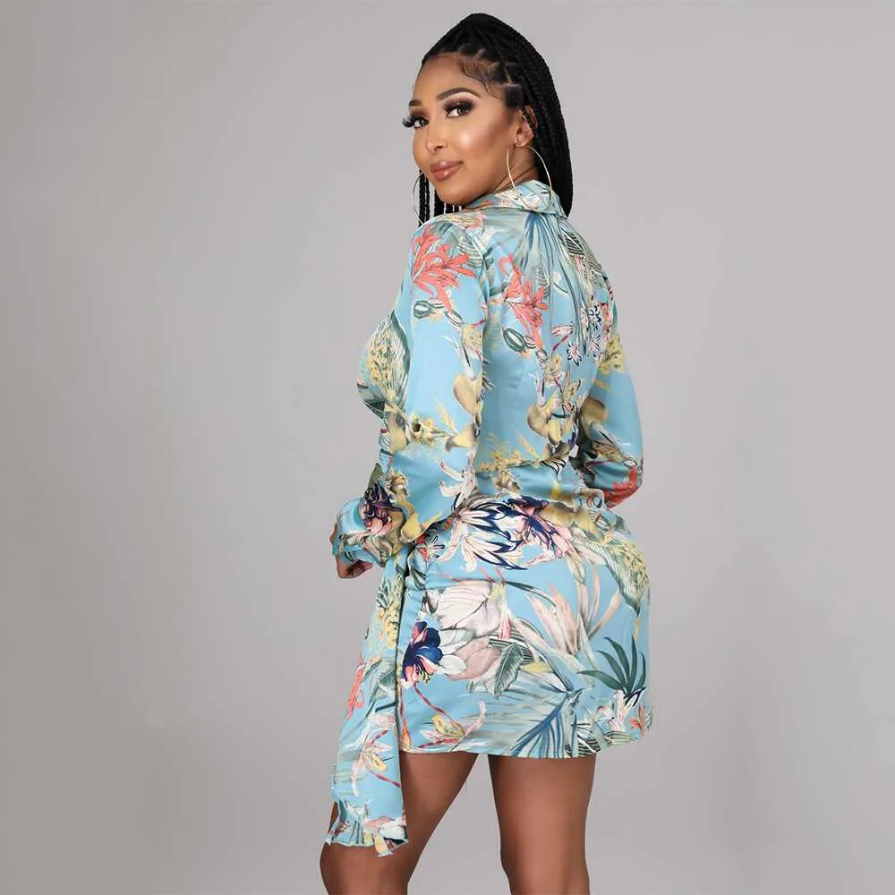 Digital Print Long Sleeve Dress